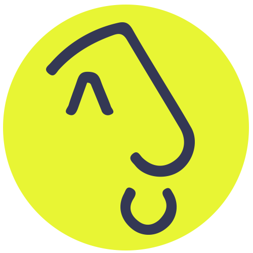 Vice-présidente<br>Infirmière et entrepreneur